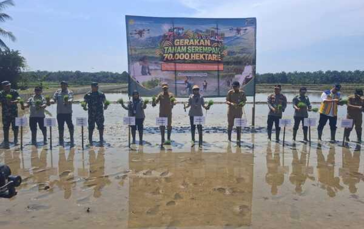 BPPSDMP Kementan RI Gelar Tanam Serempak 70 Ribu Ha di Kecamatan Serapit