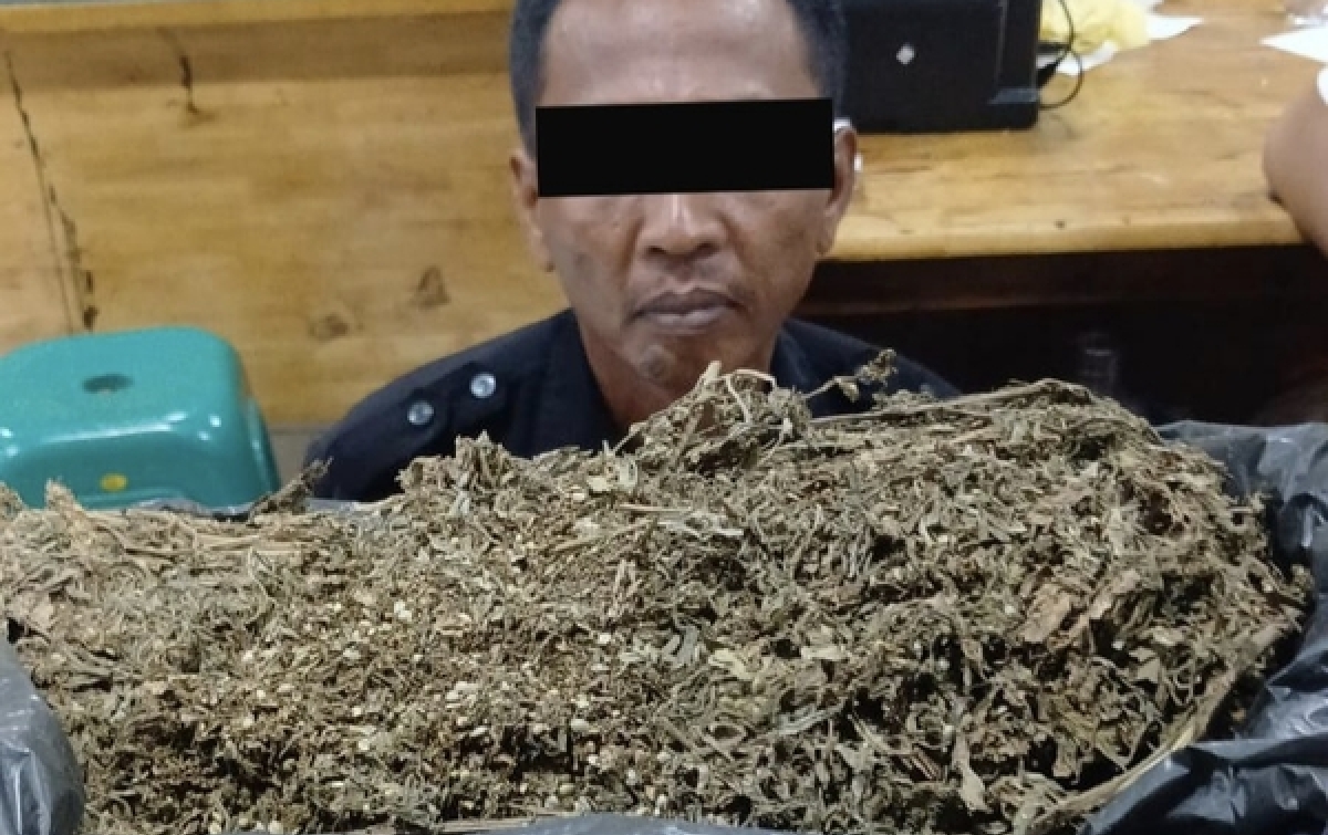 Nyambi Jual Ganja, Satpam Bengkel Mobil Diciduk Polrestabes