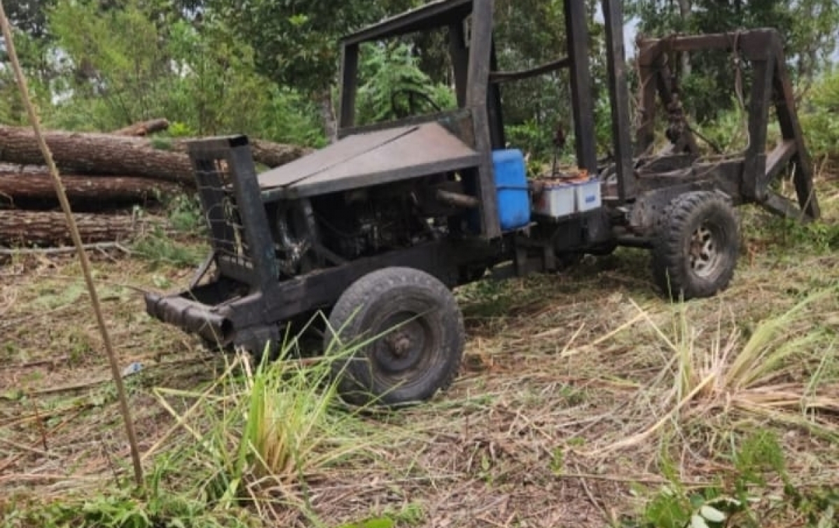 DPRD Sumut Minta Poldasu  Usut Perambahan Hutan Pinus di Habeahan