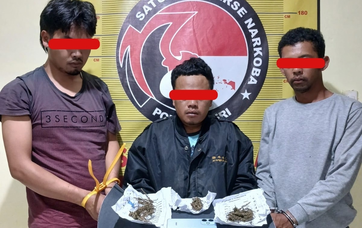 3 Pria di Sidikalang Ditangkap Kasus Ganja