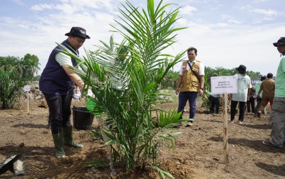 PTPN IV PalmCo Dorong Peremajaan Sawit Rakyat Disertai Tanam Padi Gogo di Asahan