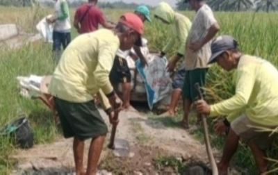 Puluhan Tahun Rusak Parah, Petani Sergai Gotong Royong Perbaiki Jalan Usaha Tani