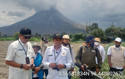 Hujan Selamatkan 1.832 Hektare Tanaman dari Abu Erupsi Sinabung