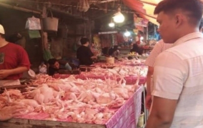 KPPU Kanwil I Awasi Rantai Pasok Ayam di Sumut Seiring Kembali Berjalannya Program MBG
