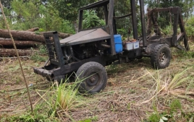DPRD Sumut Minta Poldasu  Usut Perambahan Hutan Pinus di Habeahan