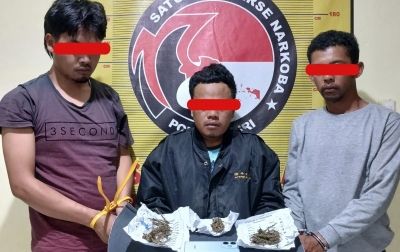 3 Pria di Sidikalang Ditangkap Kasus Ganja