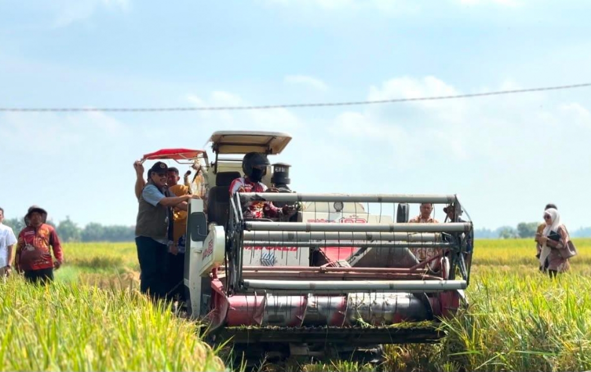 Rekor Nasional BULOG 4,1 Juta Ton Beras Jadi Pemacu Penyerapan Gabah Petani di Sumut