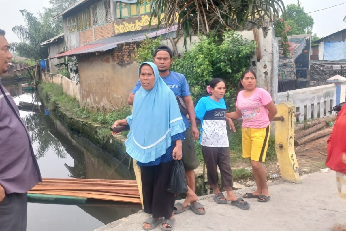 8 Buaya Muncul di Perairan Siombak, Zulham Efendi Minta Solusi Konkrit dari Pemko Medan