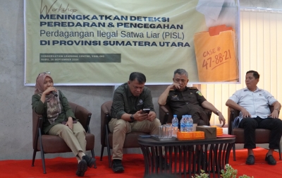 Ketika Platform Digital dan Ekspedisi Jadi Mata Rantai Perdagangan Satwa Liar