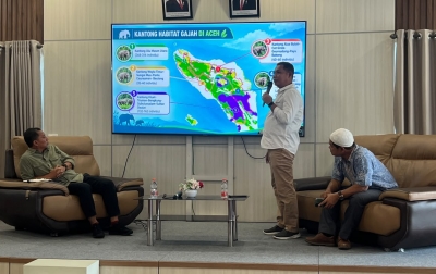 Merajut Koridor Hijau: Menjaga Jalur Pergerakan Gajah Sekaligus Melindungi Ruang Hidup Warga