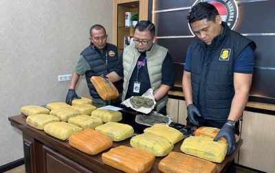 Satresnarkoba Polrestabes, Sita 18 Kg Ganja Dari Kandang Ayam