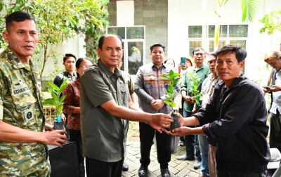 Pemkab  Samosir Salurkan 1,25 Juta Bibit Kopi kepada 245 Kelompok Tani