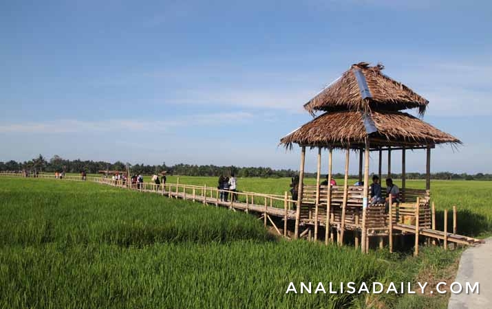 pesona-keindahan-agrowisata-paloh-naga-di-desa-denai-lama