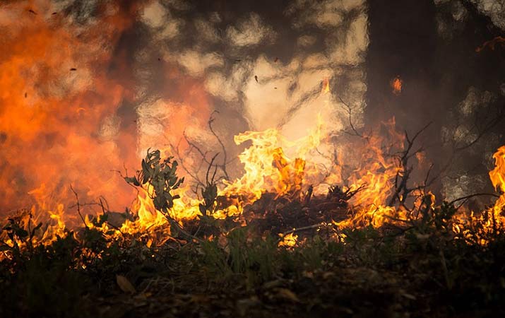 bnpb-843-hektar-lahan-terbakar-di-riau
