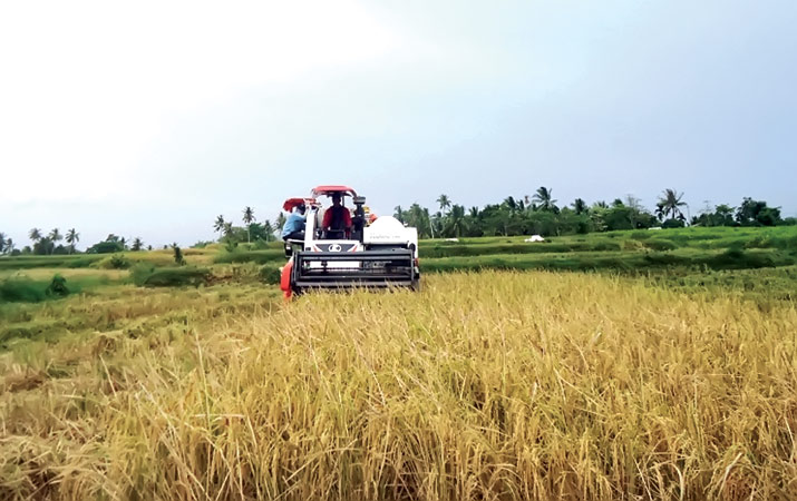 teknologi-modern-warnai-tradisi-petani