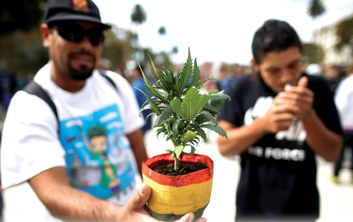 beberapa-negara-dunia-justru-melegalkan-ganja