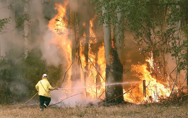 Kebakaran Hutan Baru Berkobar di Australia