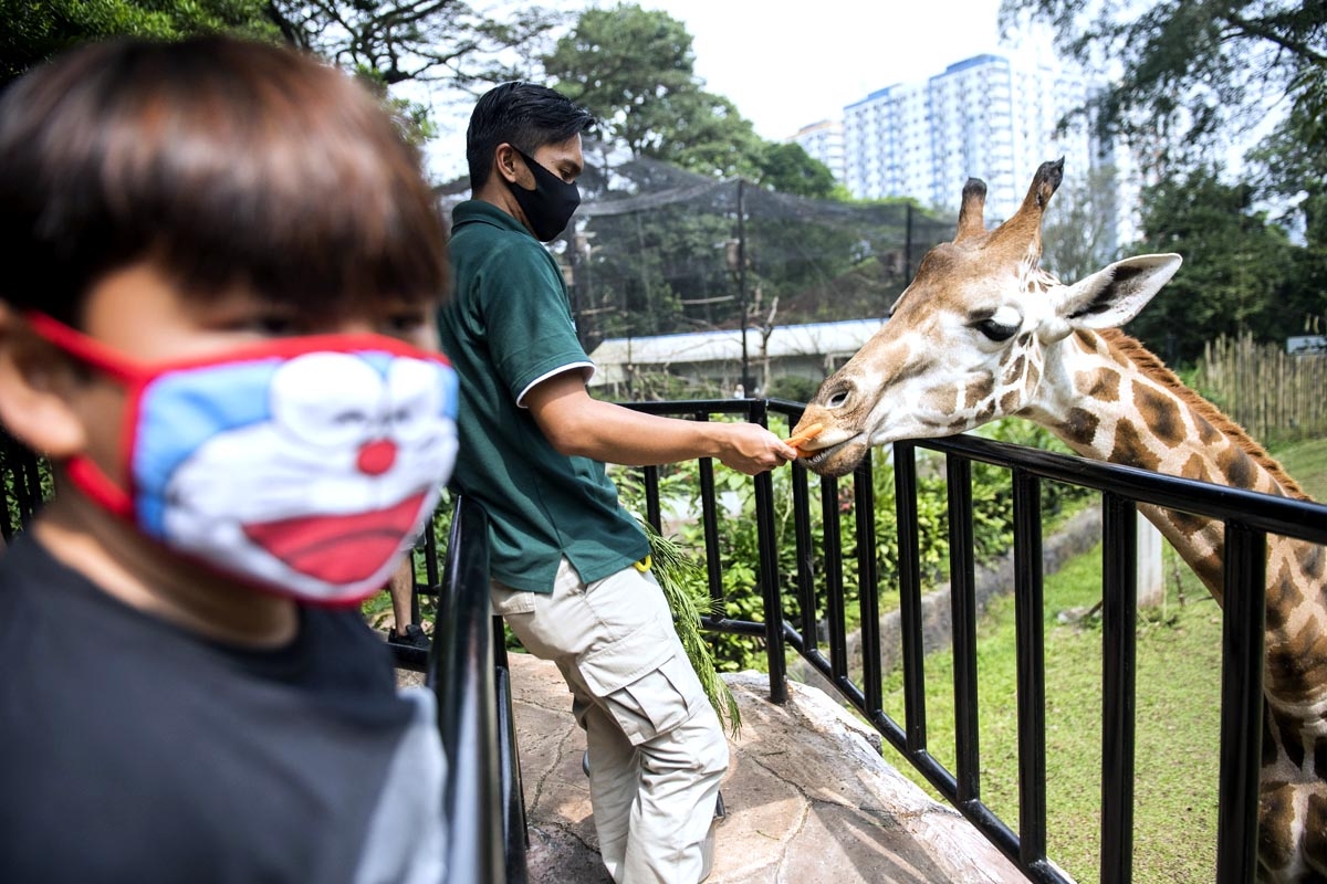 Foto: Kebun Binatang Bandung dibuka Kembali - Destinasi - AnalisaDaily.com